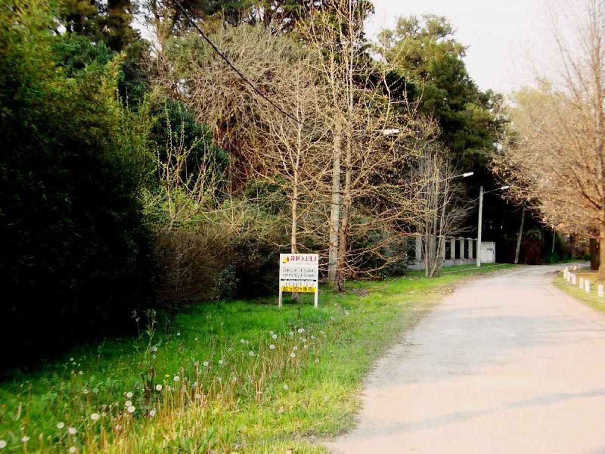  Land in Ituzaingo, Argentina No. 34409