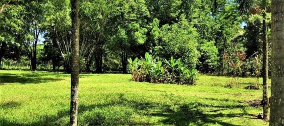 Terreno em San Mateo, Costa Rica N.º 1759 3