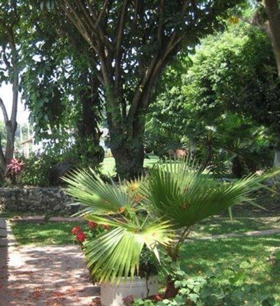  Land in Ciudad Nicolas Romero, Mexico No. 205554