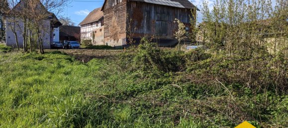 Terrain à Helfrantzkirch, France No. 72782 6