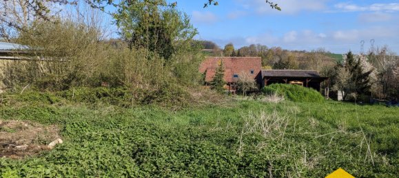 Terrain à Helfrantzkirch, France No. 72782 5