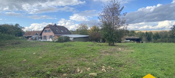 Terrain à Helfrantzkirch, France No. 72782 4