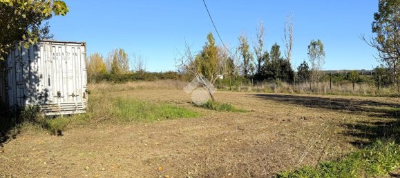 Terreno em Collesalvetti, Italy 5000 m² N.º 2240 8