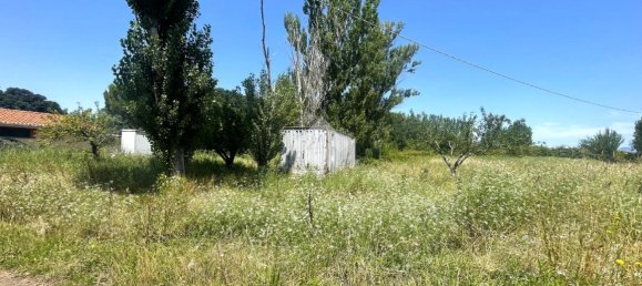 Terreno em Collesalvetti, Italy 5000 m² N.º 2240 14