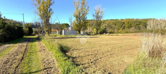 Terreno em Collesalvetti, Italy 5000 m² N.º 2240 9