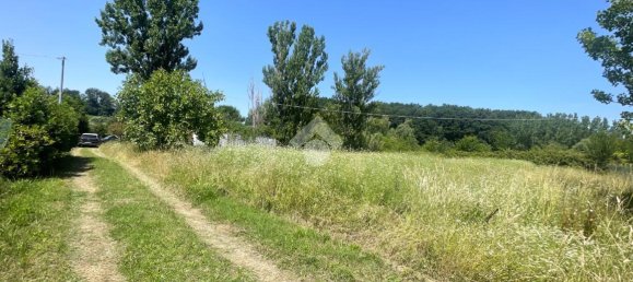 Terreno em Collesalvetti, Italy 5000 m² N.º 2240 15