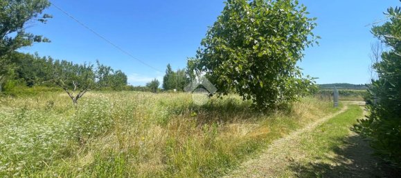 Terreno em Collesalvetti, Italy 5000 m² N.º 2240 6