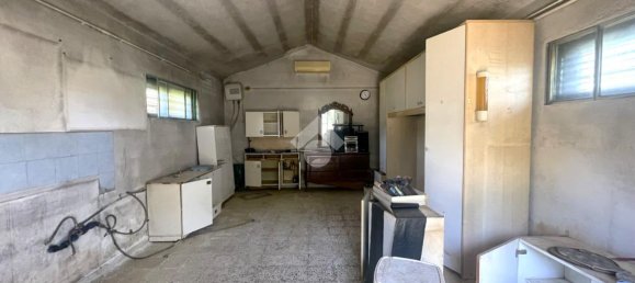 Terreno em Collesalvetti, Italy 5000 m² N.º 2240 3