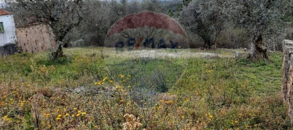 Casa T1 em Vila de Rei, Portugal N.º 46298 4