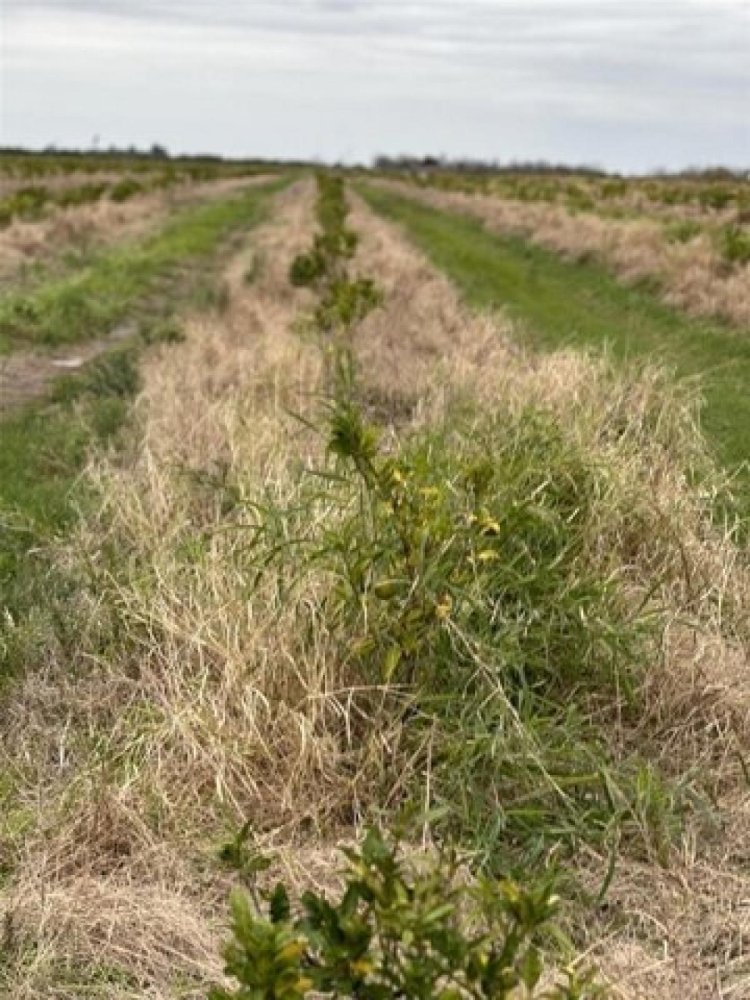  Land in Lake Placid, USA No. 484316