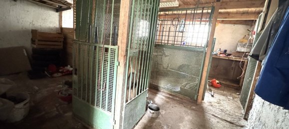 4 bedrooms House in Wartburgkreis, Germany No. 22828 27