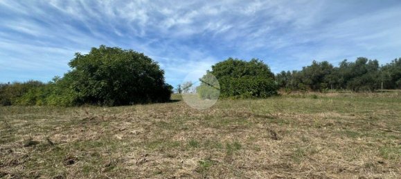 1 room Land in Montelibretti, Italy No. 346212 11