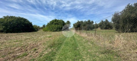 1 room Land in Montelibretti, Italy No. 346212 17