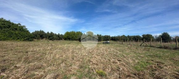 1 room Land in Montelibretti, Italy No. 346212 12