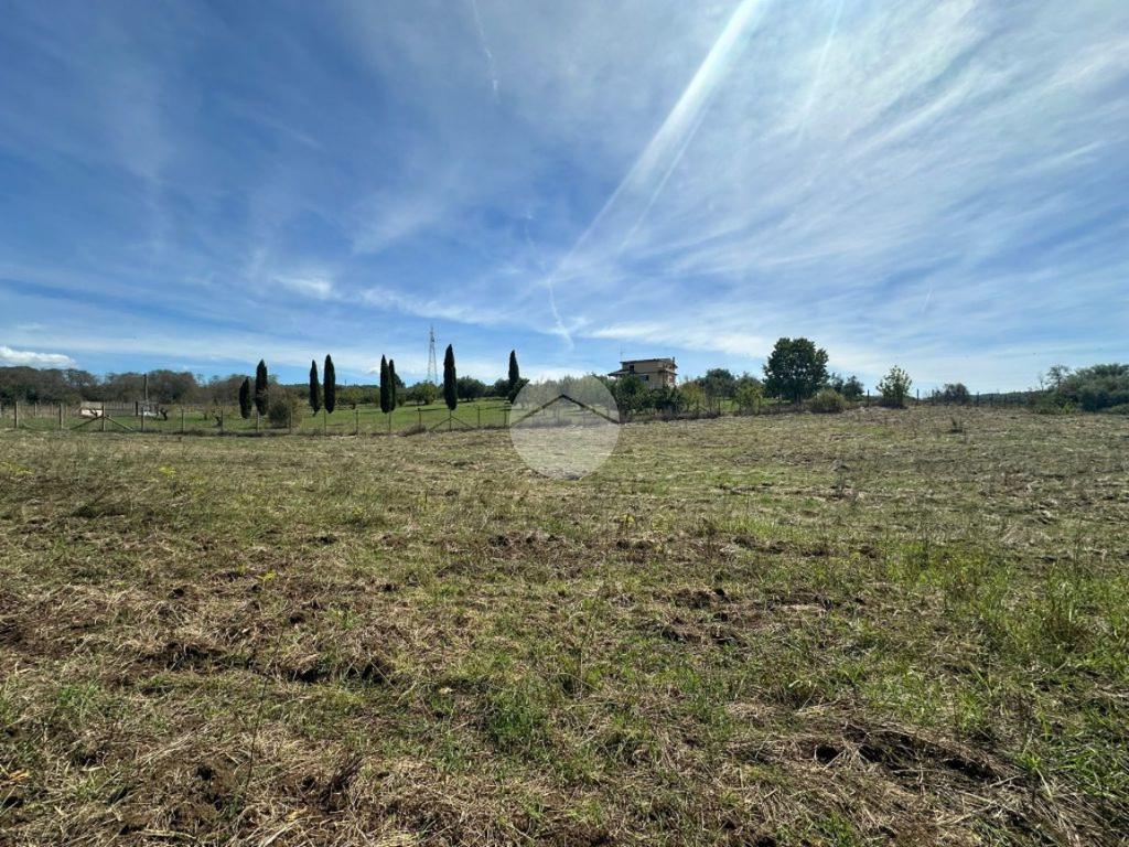 1 room Land in Montelibretti, Italy No. 346212