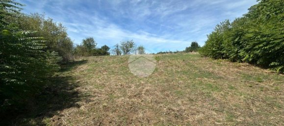 1 room Land in Montelibretti, Italy No. 346212 16