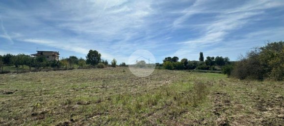 1 room Land in Montelibretti, Italy No. 346212 2