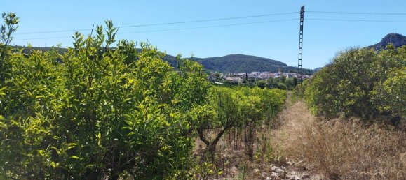  House in Orba, Spain No. 284895 9