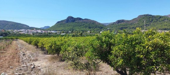  House in Orba, Spain No. 284895 8