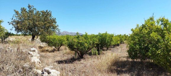  House in Orba, Spain No. 284895 7