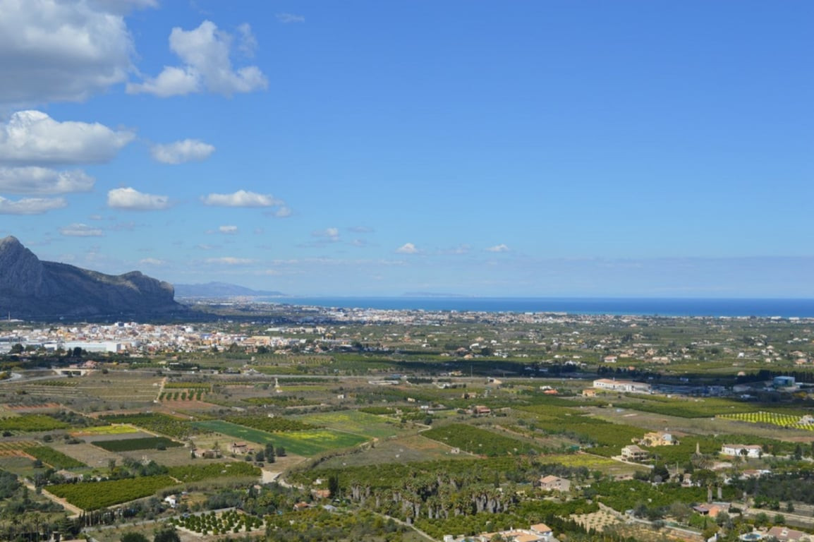  Land in Pedreguer, Spain No. 257497