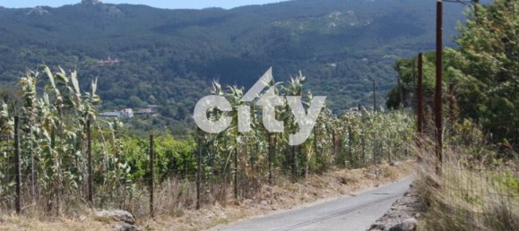 8290m² Land in Sintra, Portugal No. 55738 24