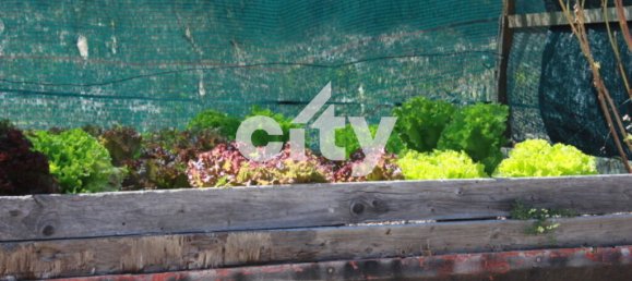 8290m² Land in Sintra, Portugal No. 55738 32