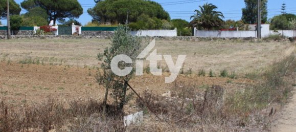 8290m² Land in Sintra, Portugal No. 55738 2