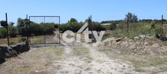 8290m² Land in Sintra, Portugal No. 55738 19