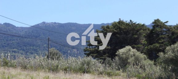 8290m² Land in Sintra, Portugal No. 55738 11