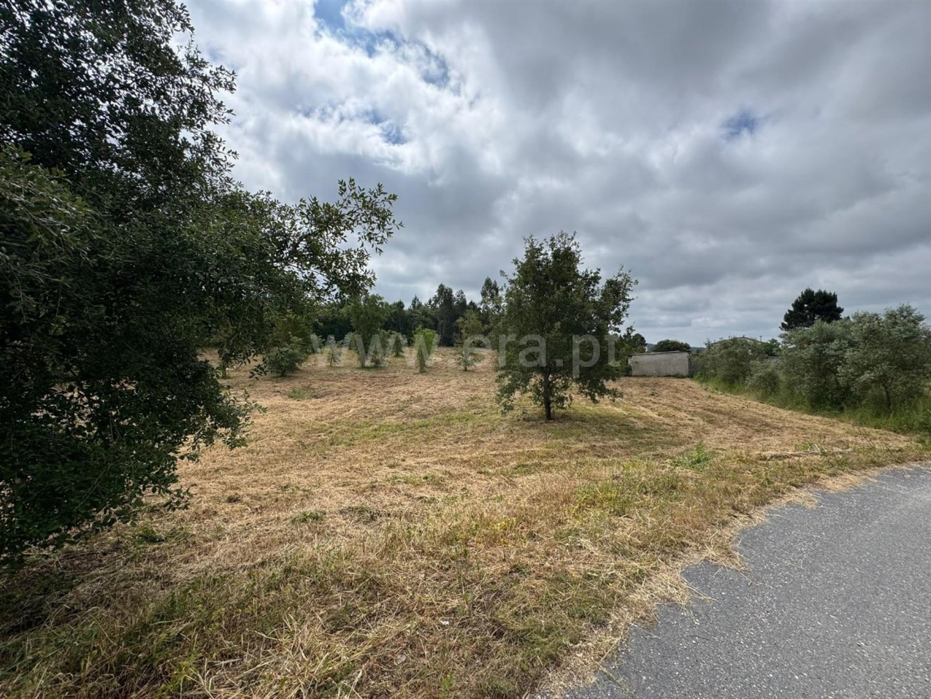  Land in Soure, Portugal No. 314312