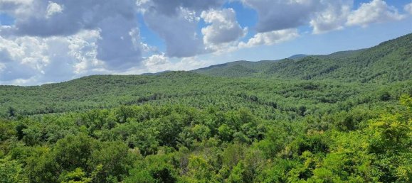 5 bedrooms House in Capalbio, Italy No. 124523 29