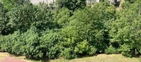 12-Zimmer Villa in Palazzago, Italy, Nr. 21157 12