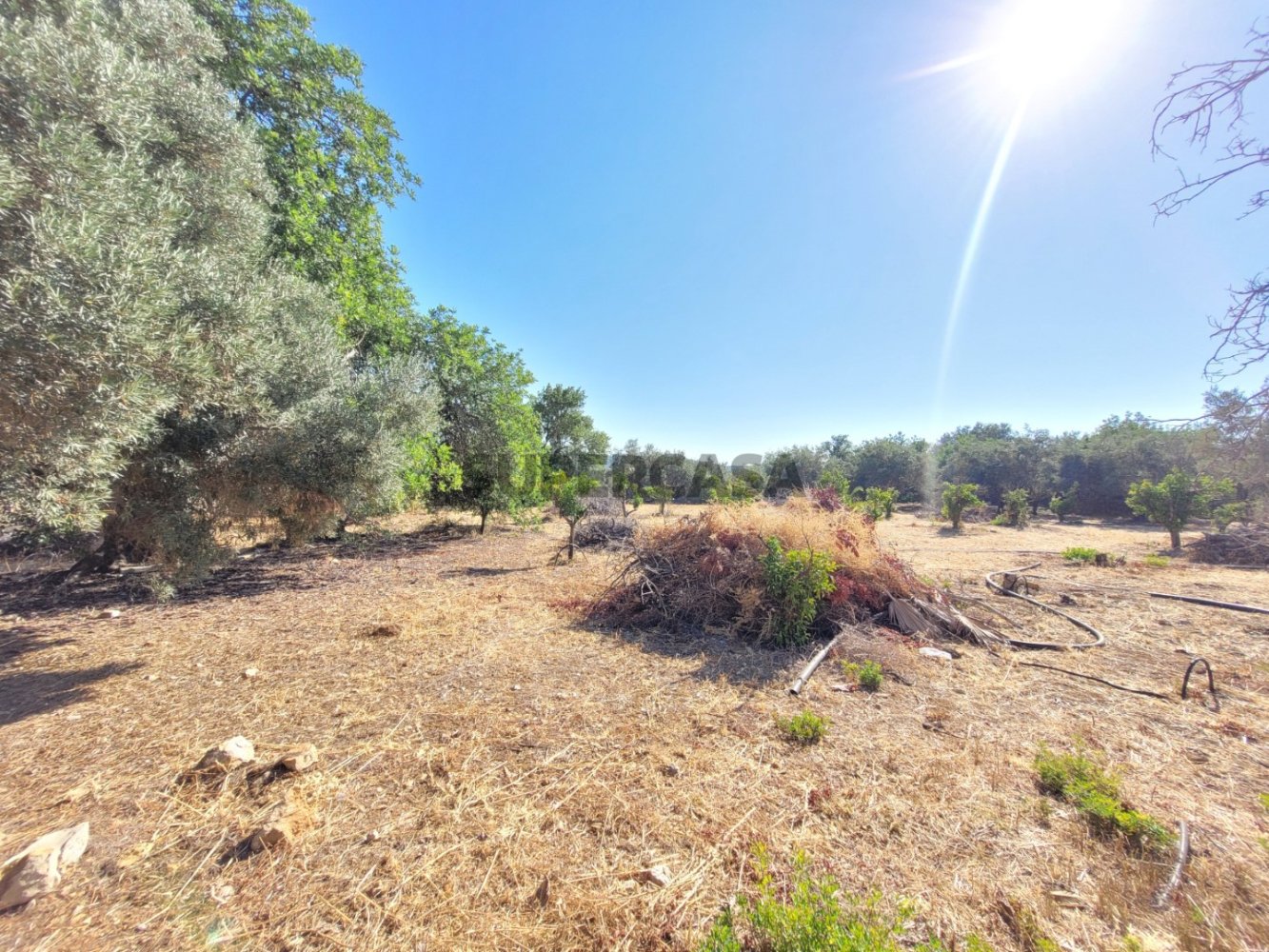 450m² Land in Loule, Portugal No. 326643