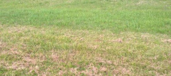 4 Schlafzimmer Haus in Savigny-en-Veron, France, Nr. 300335 6