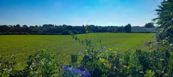 5غرفة منزل في Martina Franca, Italy رقم 286968 44