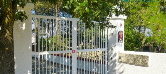 5غرفة منزل في Martina Franca, Italy رقم 286968 5