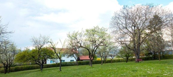 Casa de 4 habitaciónes en Linz, Austria No. 126320 11