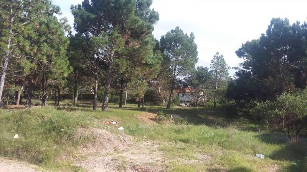 Земельный участок в Мальдонадо, Уругвай № 14020