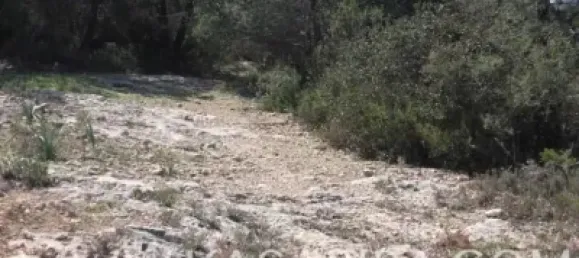 4 Schlafzimmer Haus in Riba-roja de Turia, Spain, Nr. 73082 21