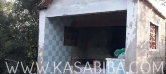 4 Schlafzimmer Haus in Riba-roja de Turia, Spain, Nr. 73082 5