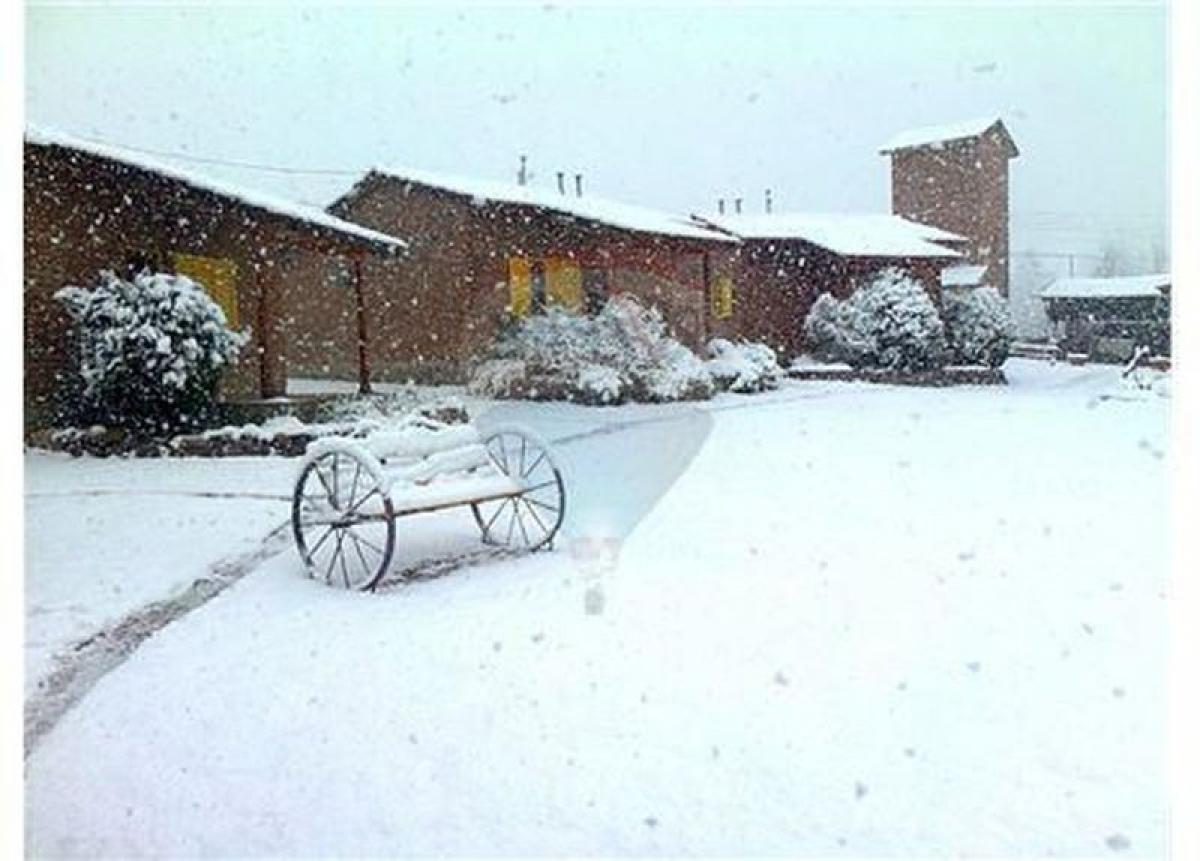  عقار تجاري في Cordoba, Argentina 3110متر مربع رقم 25621