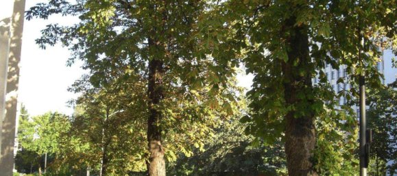 Studio in München, Germany, Nr. 283226 6