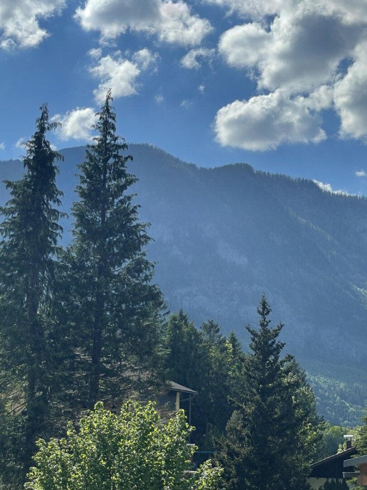 Земельный участок в Шпиталь ам Пирн, Австрия № 129155