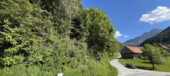 Земельный участок в Шпиталь ам Пирн, Австрия № 129155 7