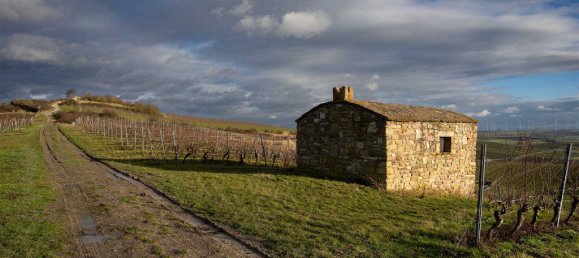 Terrain à Alzey-Worms, Germany No. 135180 5