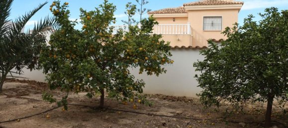Villa T5 em Rojales, Spain N.º 172271 16