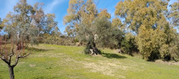 Casa de 6 habitaciónes en Nova Siri, Italy No. 42469 73