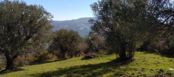 Casa de 6 habitaciónes en Nova Siri, Italy No. 42469 75