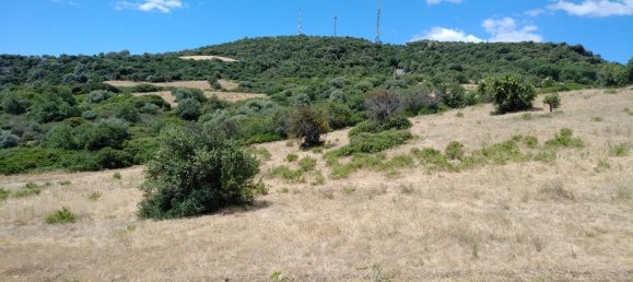Casa de 6 habitaciónes en Nova Siri, Italy No. 42469 57